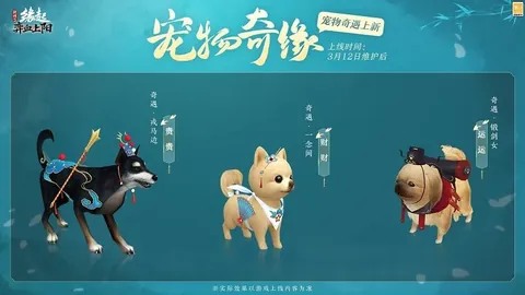 国足新帅扬科维奇：败仗中显精神，为球员风貌倍感自豪