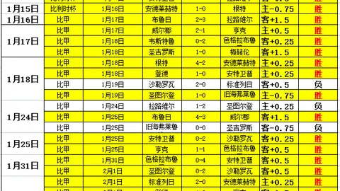 2025年沙滩排球全国巡回赛总决赛海口收官 中新网讯