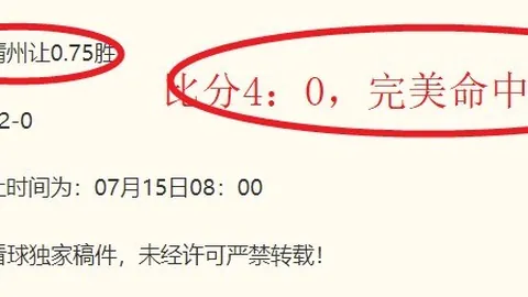 南美杯焦点：希金斯主场表现深度解析，信赖背后的精彩